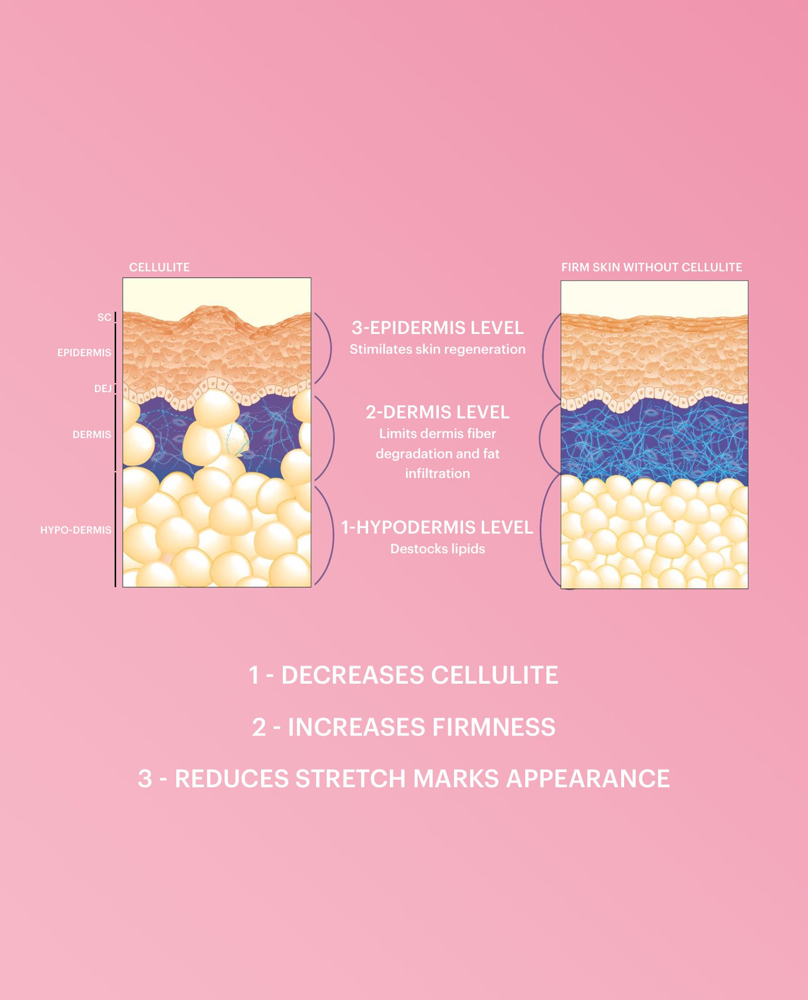 Firming Breast Lotion